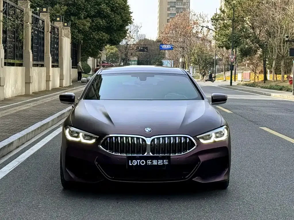 BMW 8 Series 2022 из CN, фото 3