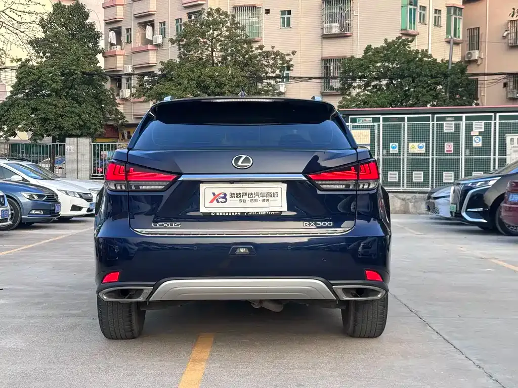 Lexus RX 2022 из CN, фото 4