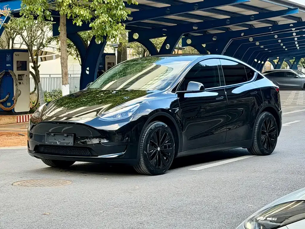 Tesla Model Y 2023 из CN, фото 1