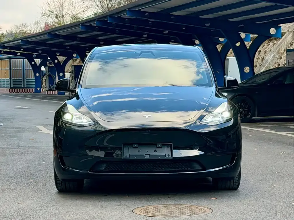 Tesla Model Y 2023 из CN, фото 6