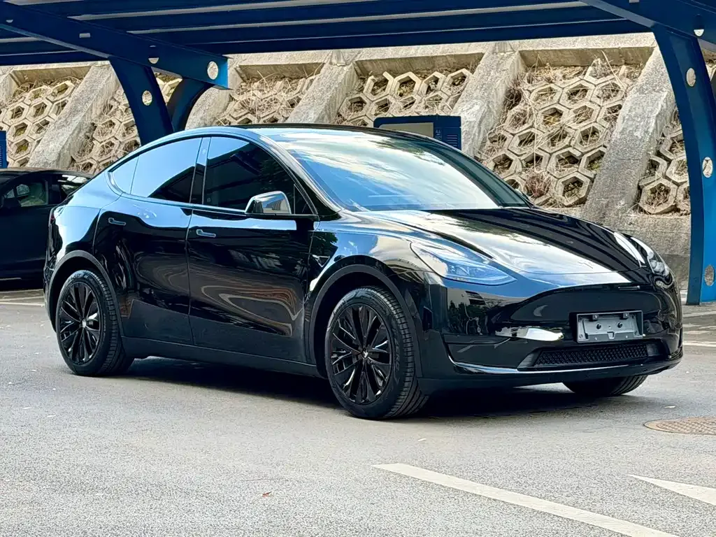 Tesla Model Y 2023 из CN, фото 3