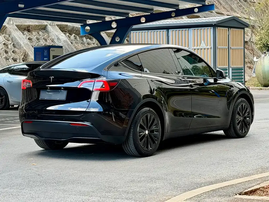 Tesla Model Y 2023 из CN, фото 8