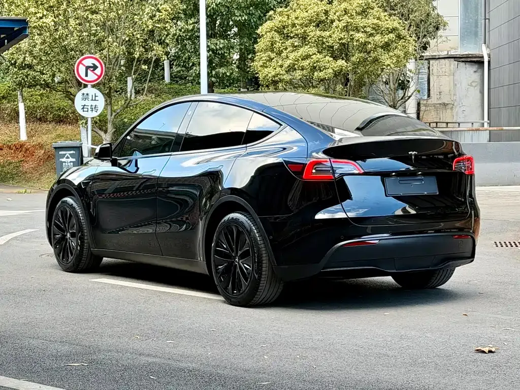 Tesla Model Y 2023 из CN, фото 5