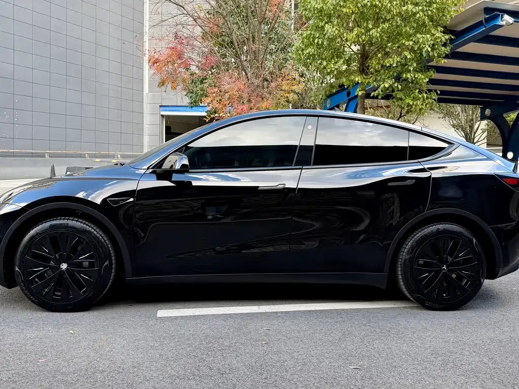Tesla Model Y 2023 из CN, фото 4