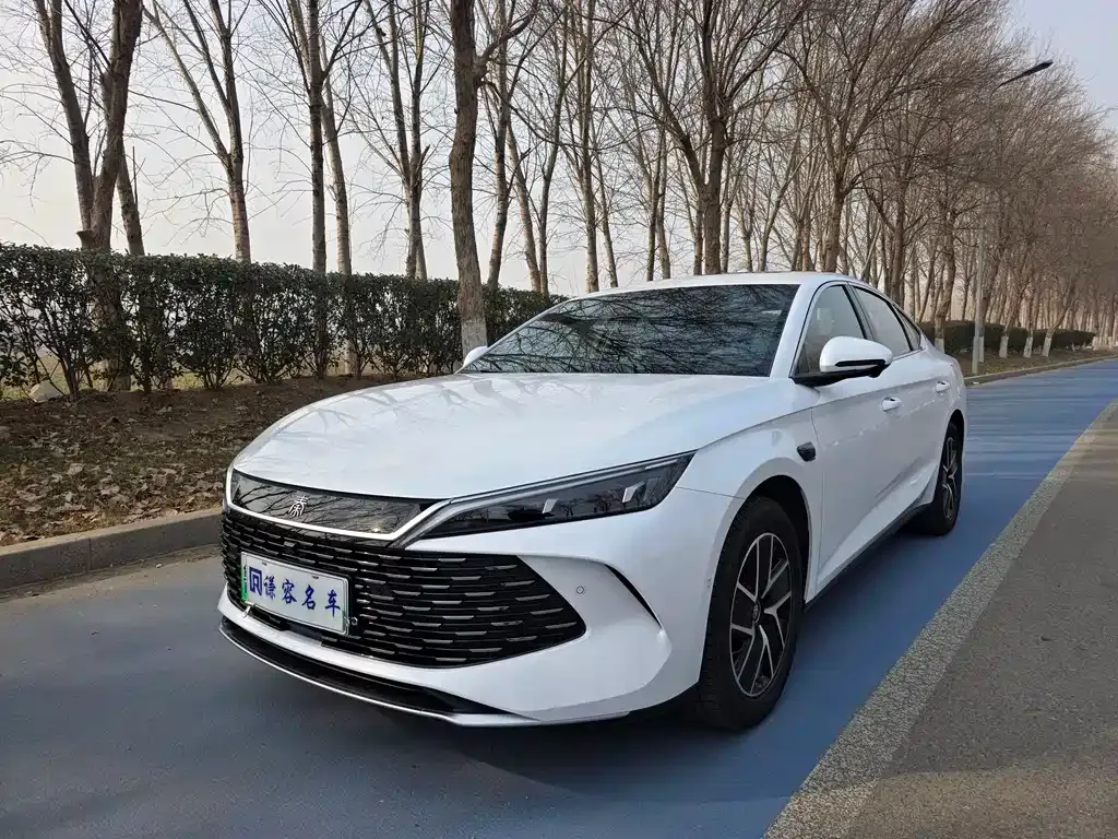 BYD Qin L 2025 из CN, фото 1