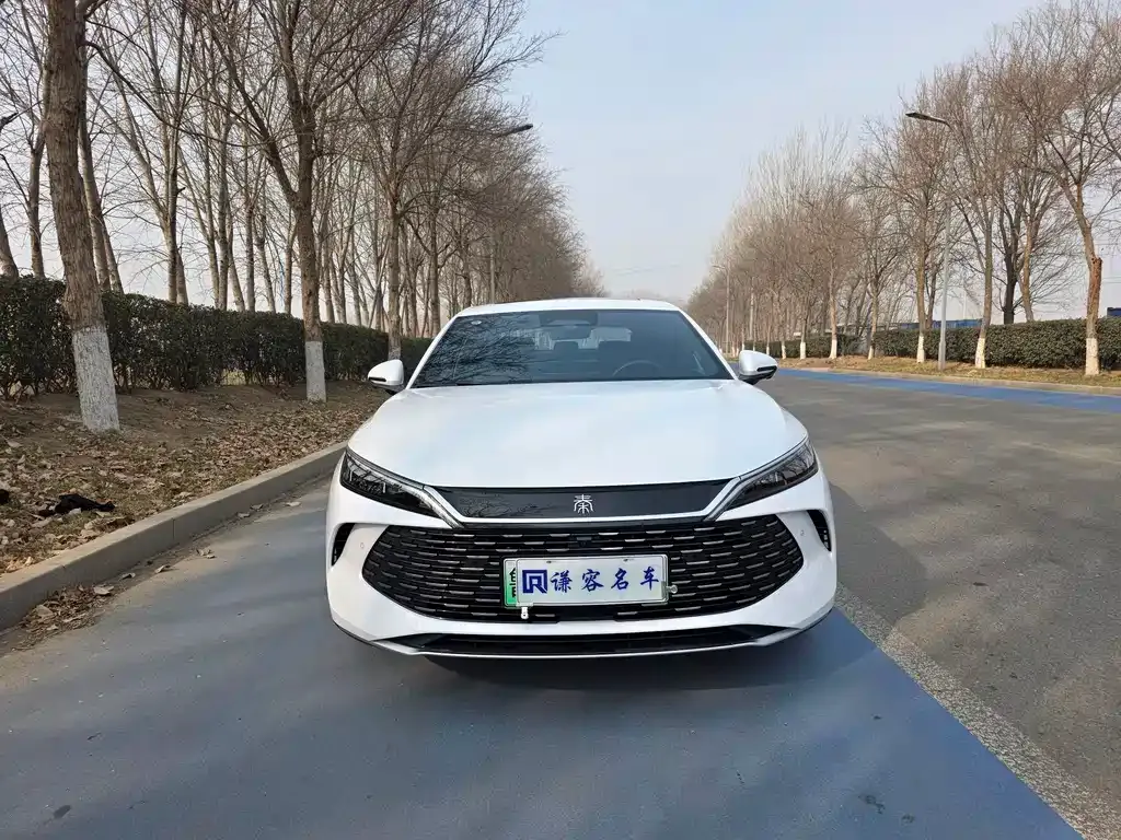 BYD Qin L 2025 из CN, фото 4