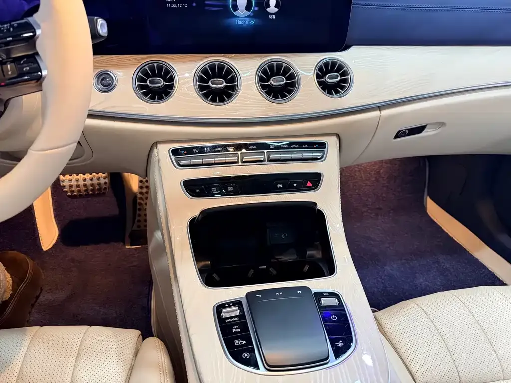 Mercedes-Benz E-Class (Import) 2021 из CN, фото 4