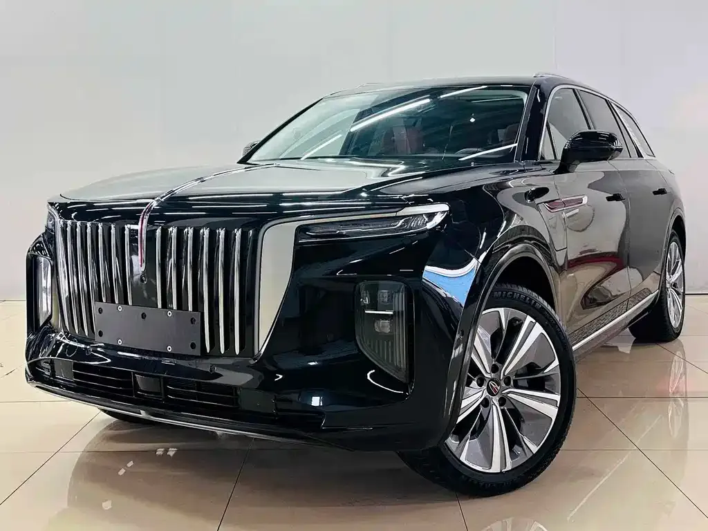 Hongqi E-HS9 2023 из CN, фото 1