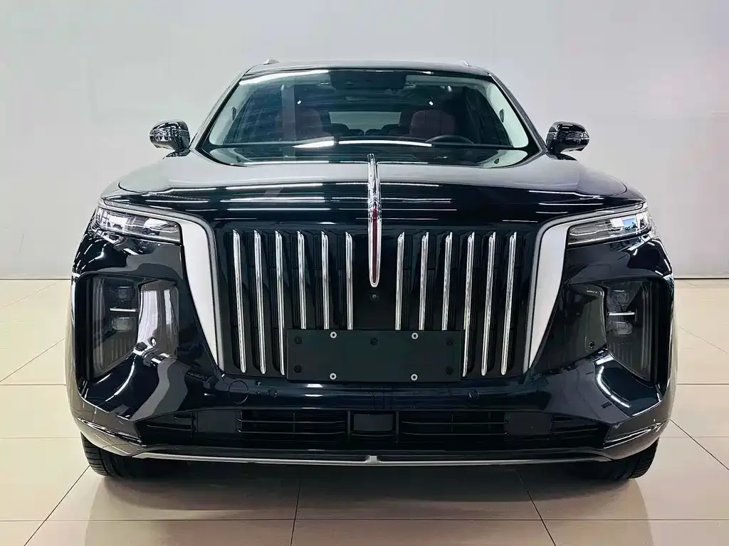 Hongqi E-HS9 2023 из CN, фото 10
