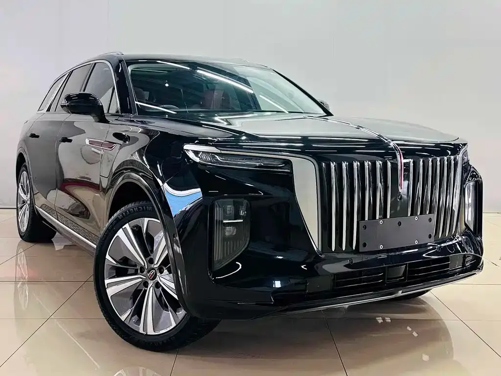 Hongqi E-HS9 2023 из CN, фото 8