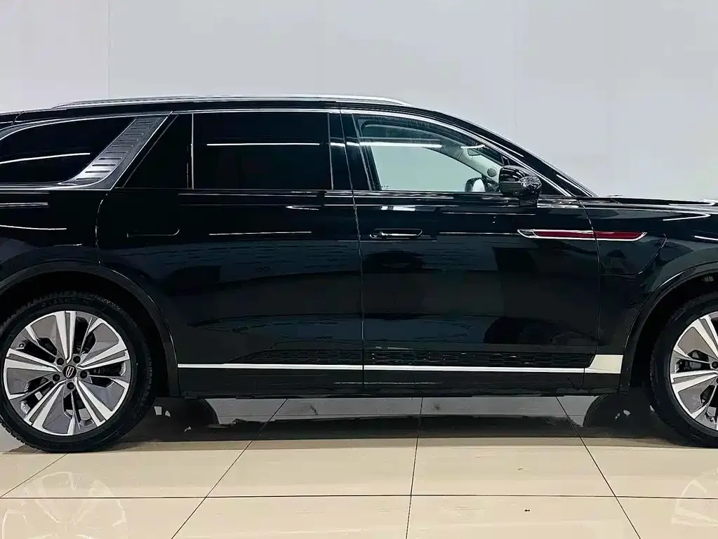 Hongqi E-HS9 2023 из CN, фото 5