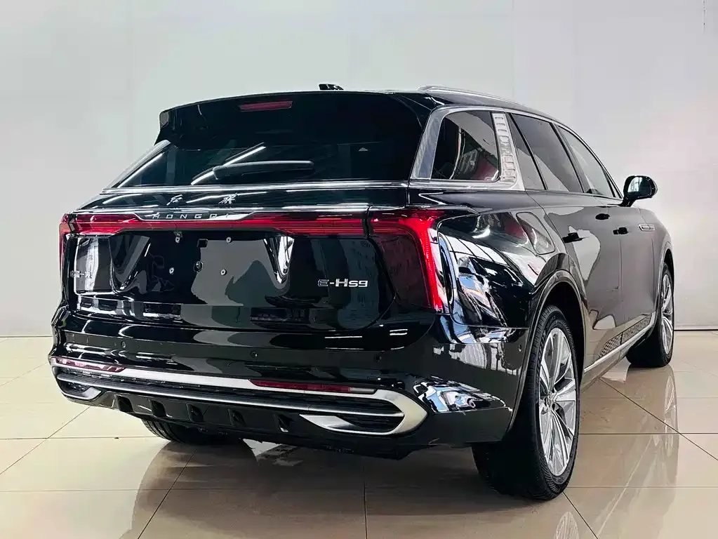 Hongqi E-HS9 2023 из CN, фото 4