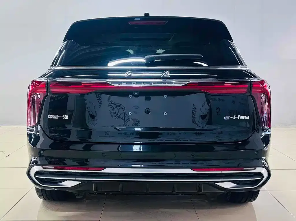 Hongqi E-HS9 2023 из CN, фото 6