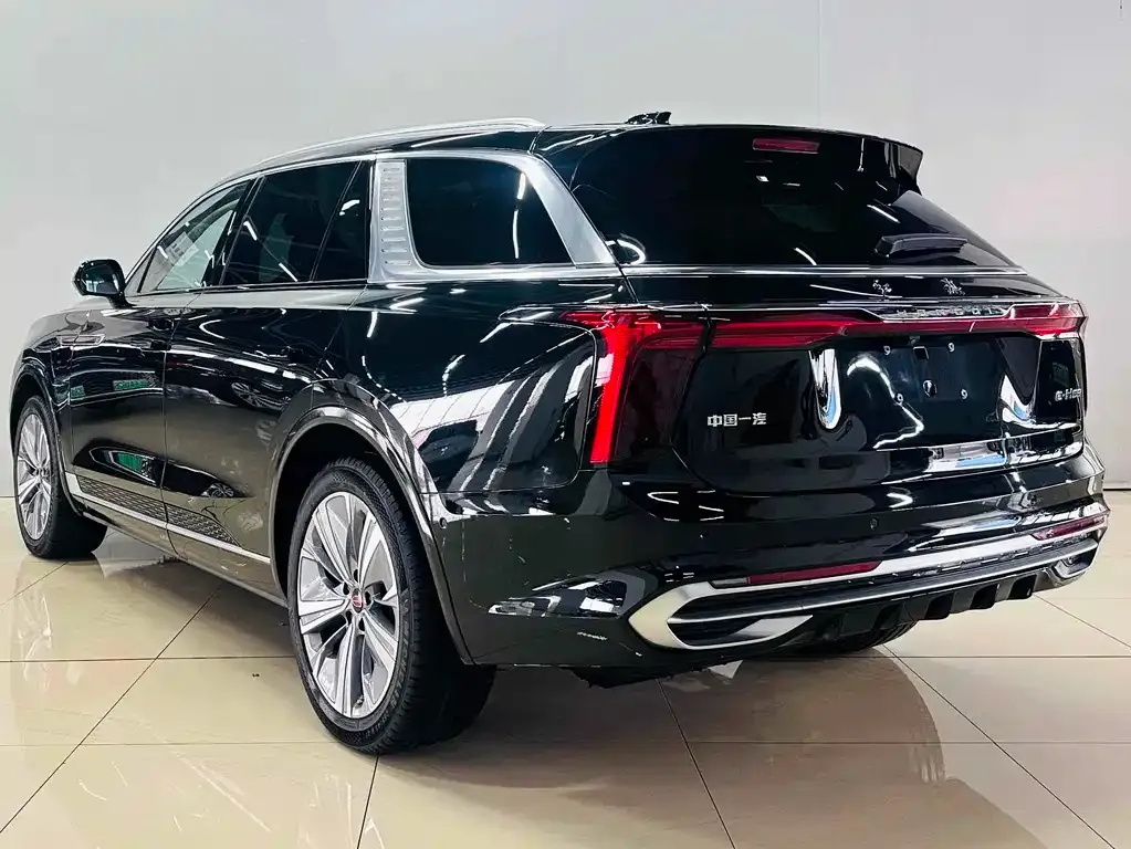Hongqi E-HS9 2023 из CN, фото 9