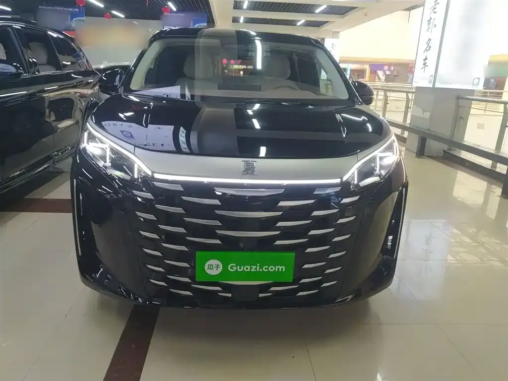 BYD Xia 2025 из CN, фото 4