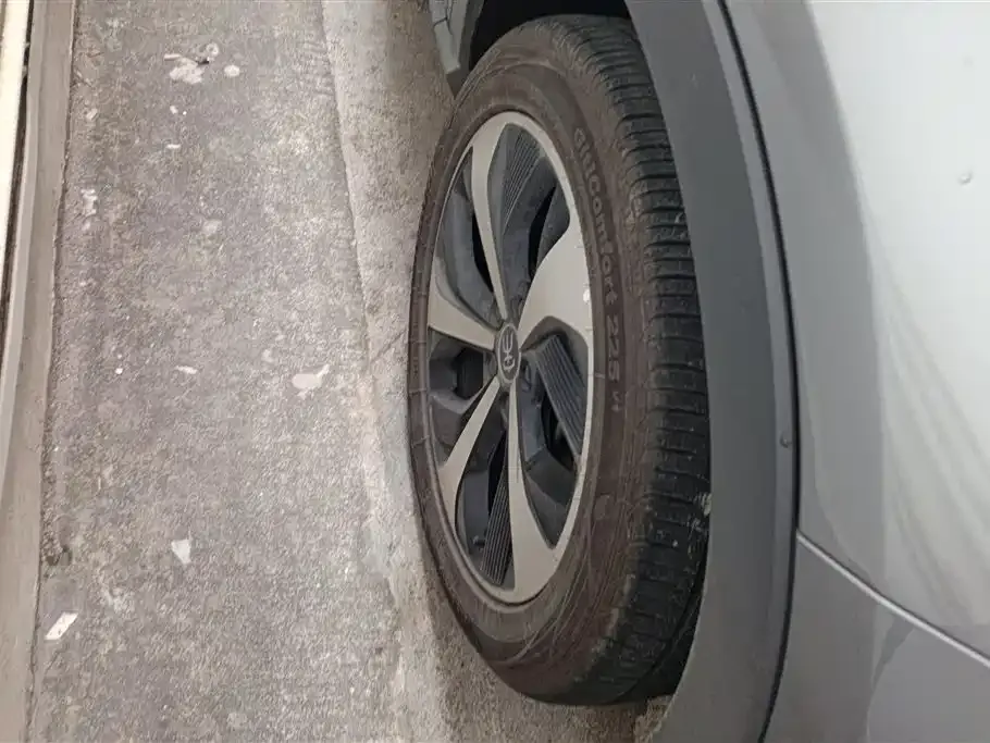 BYD PLUS New Energy 2023 из CN, фото 2