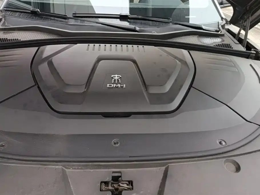 BYD PLUS New Energy 2023 из CN, фото 4