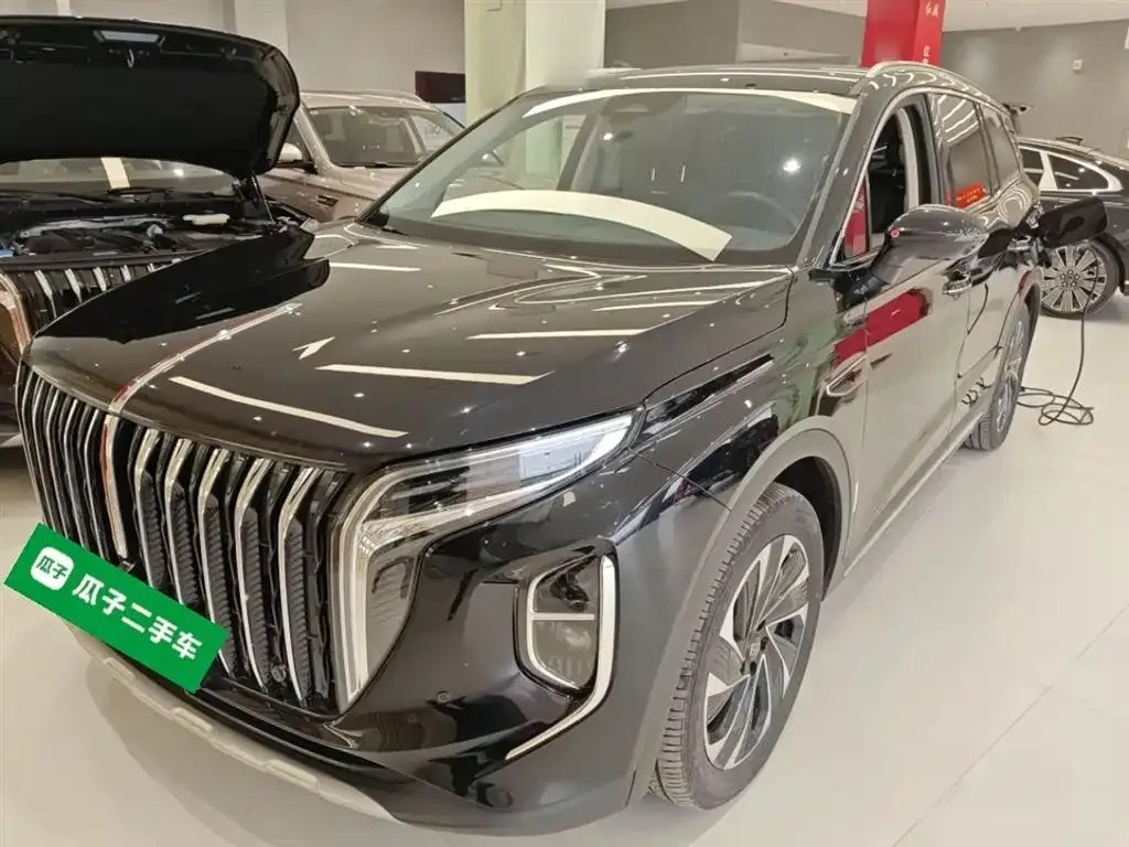 Hongqi HS7 PHEV 2024 из CN, фото 7