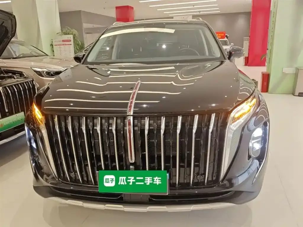 Hongqi HS7 PHEV 2024 из CN, фото 2
