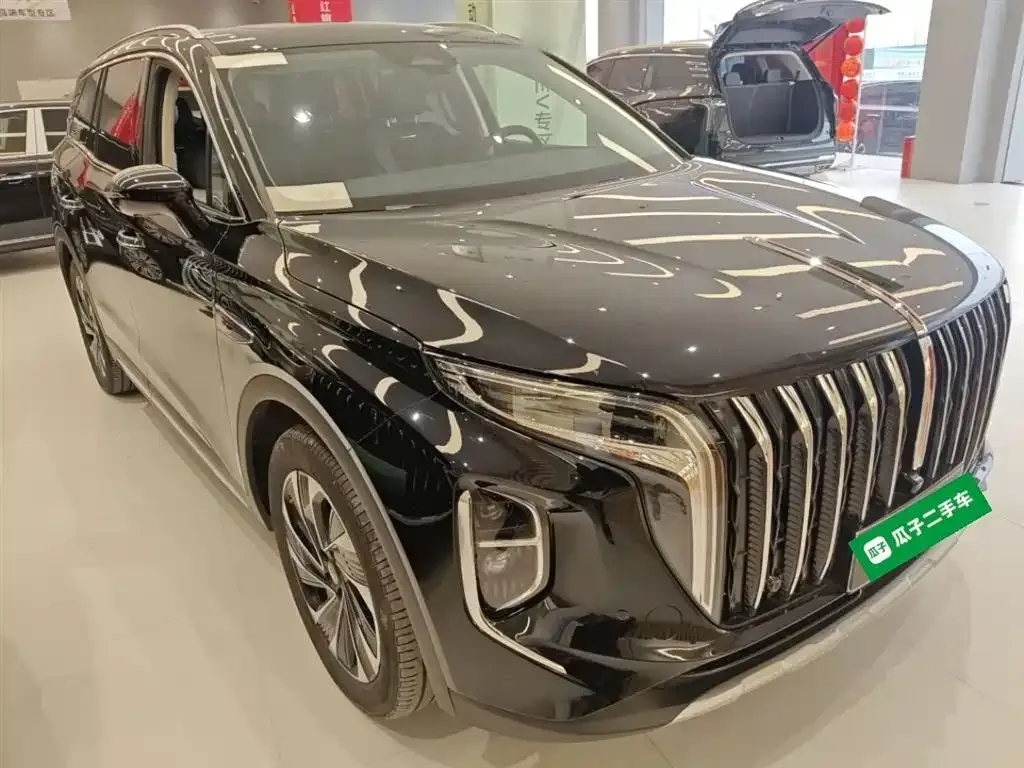 Hongqi HS7 PHEV 2024 из CN, фото 6