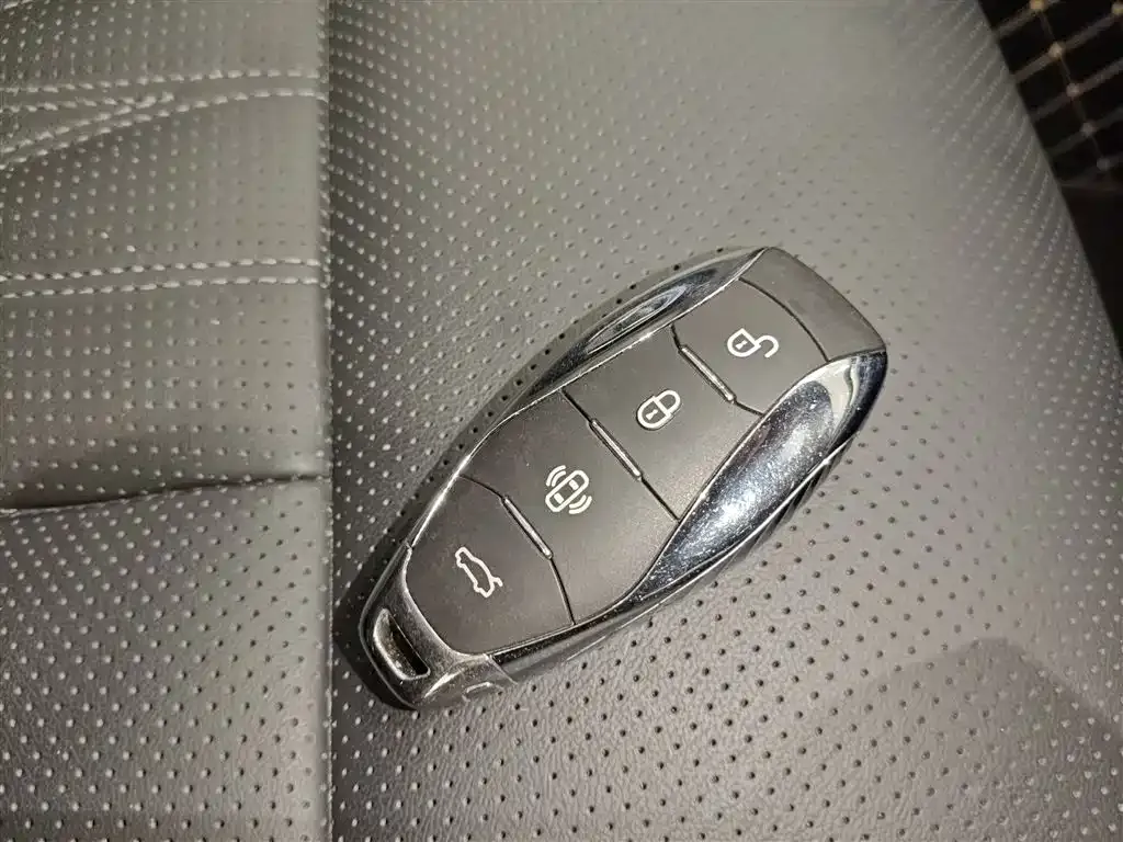 Hongqi HS7 PHEV 2024 из CN, фото 10