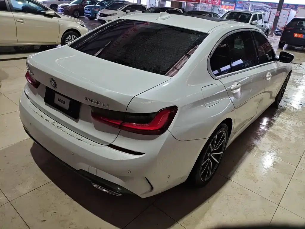 BMW 3 Series 2022 из CN, фото 5