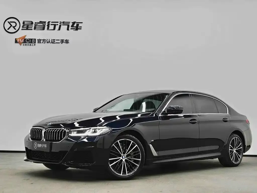 BMW 5 Series 2024 из CN, фото 1