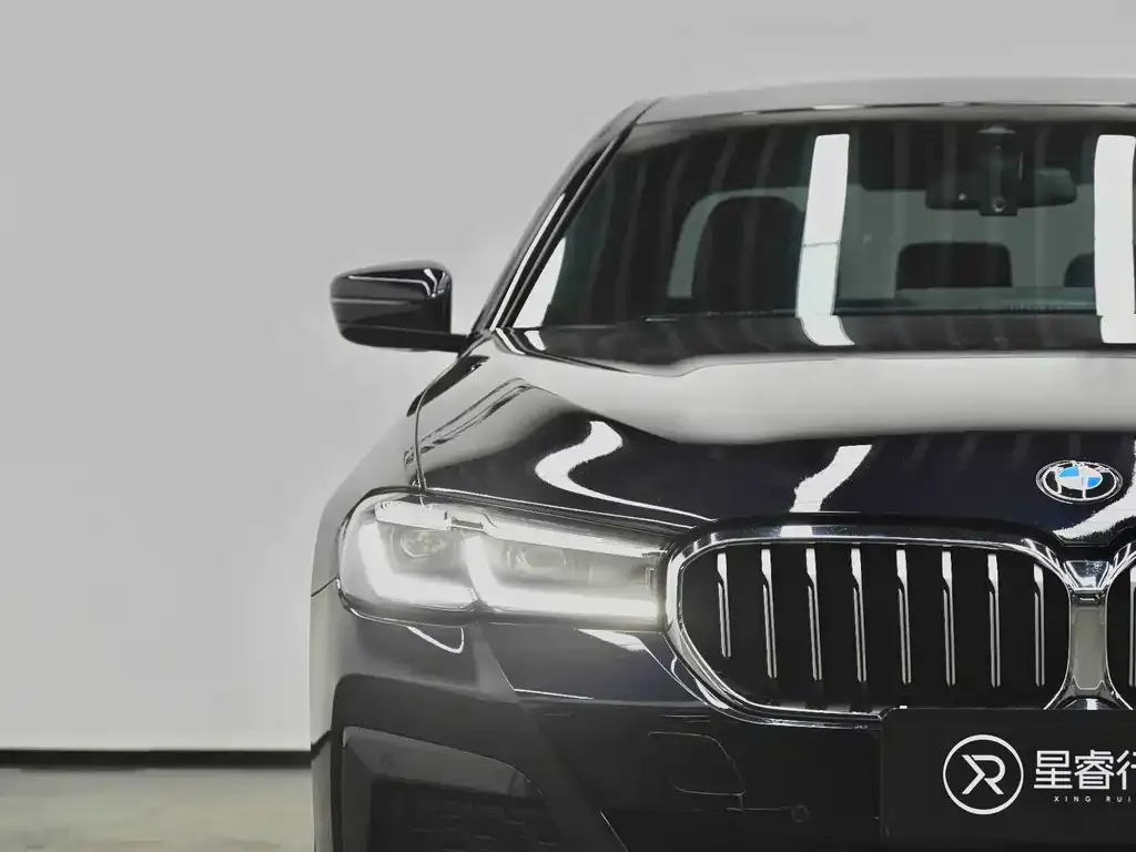 BMW 5 Series 2024 из CN, фото 6