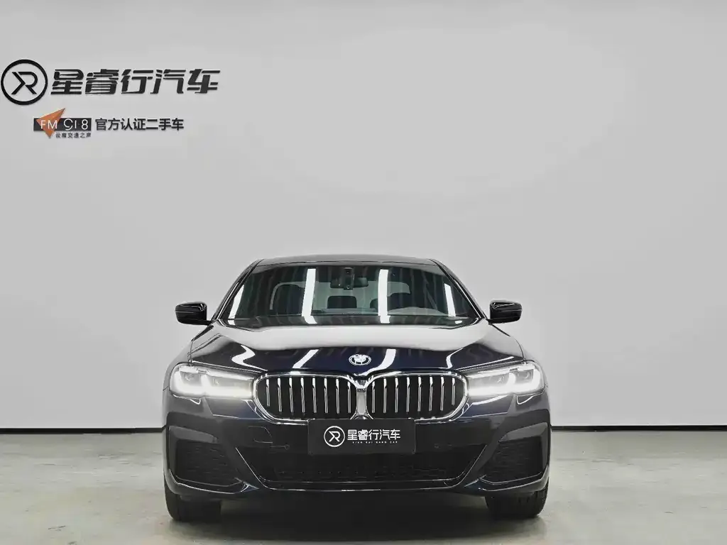 BMW 5 Series 2024 из CN, фото 2