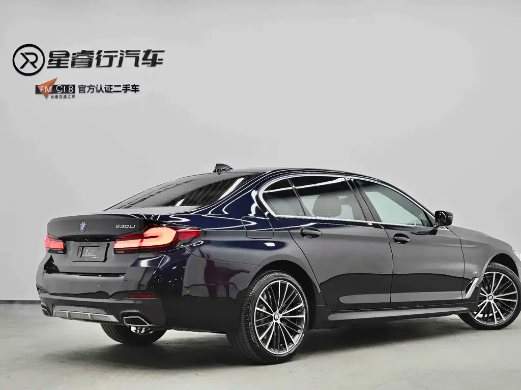 BMW 5 Series 2024 из CN, фото 9