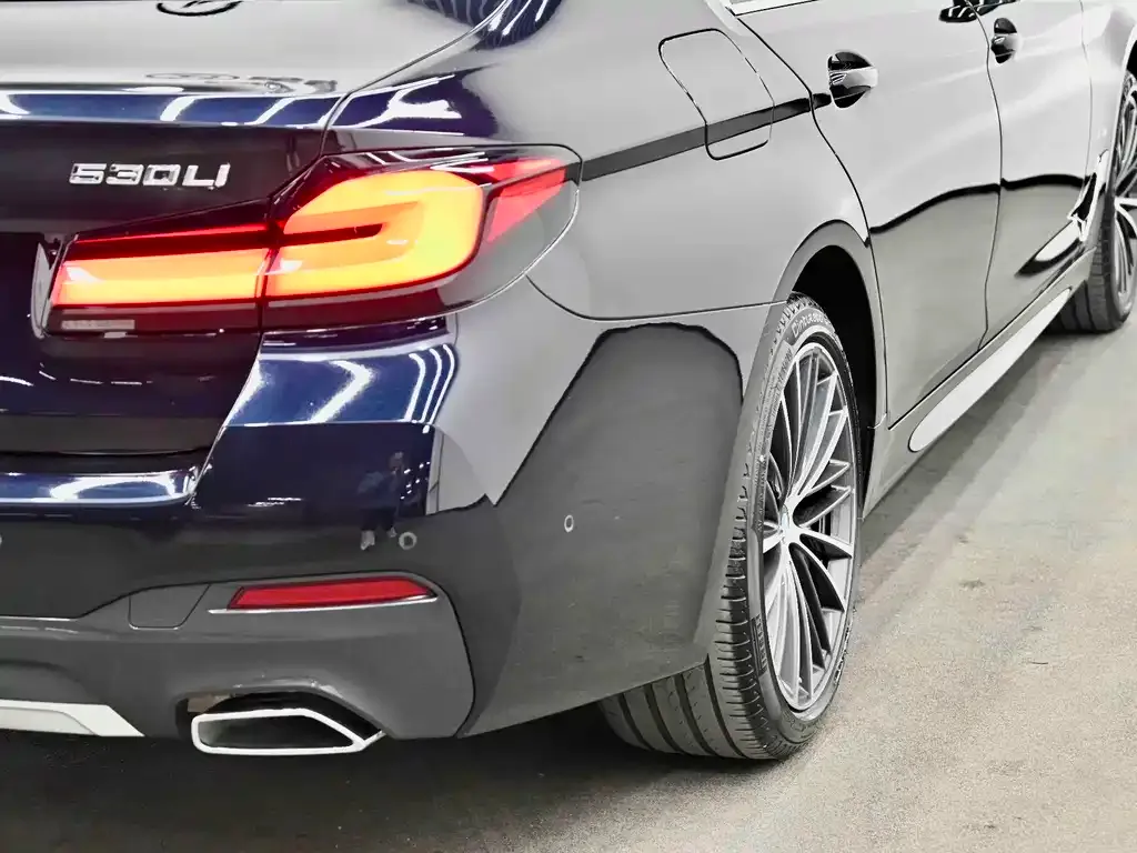 BMW 5 Series 2024 из CN, фото 5