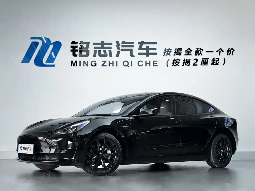 Tesla Model 3 2022 из CN, фото 1