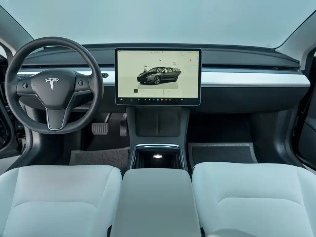 Tesla Model 3 2022 из CN, фото 10