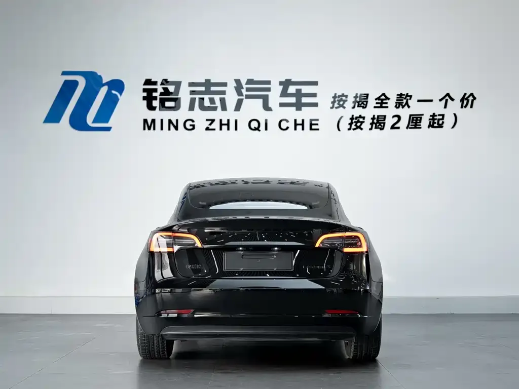 Tesla Model 3 2022 из CN, фото 5