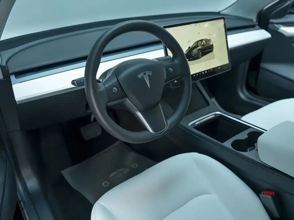 Tesla Model 3 2022 из CN, фото 2