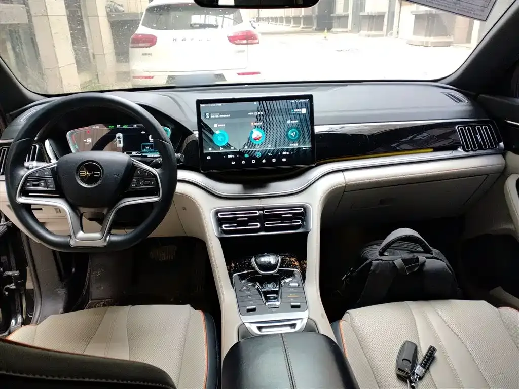 BYD PLUS New Energy 2022 из CN, фото 6