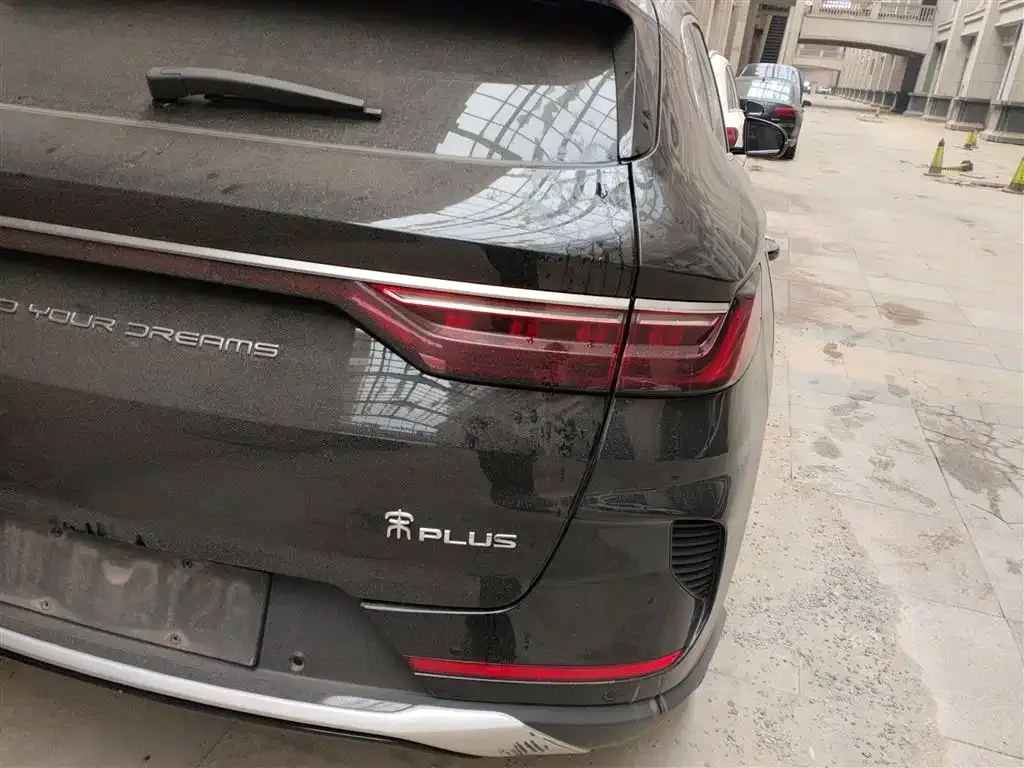 BYD PLUS New Energy 2022 из CN, фото 8