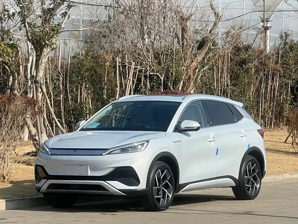 BYD Yuan Plus 2024 из CN, фото 1