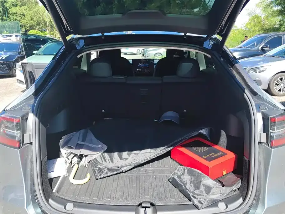 Tesla Model Y 2022 из CN, фото 5