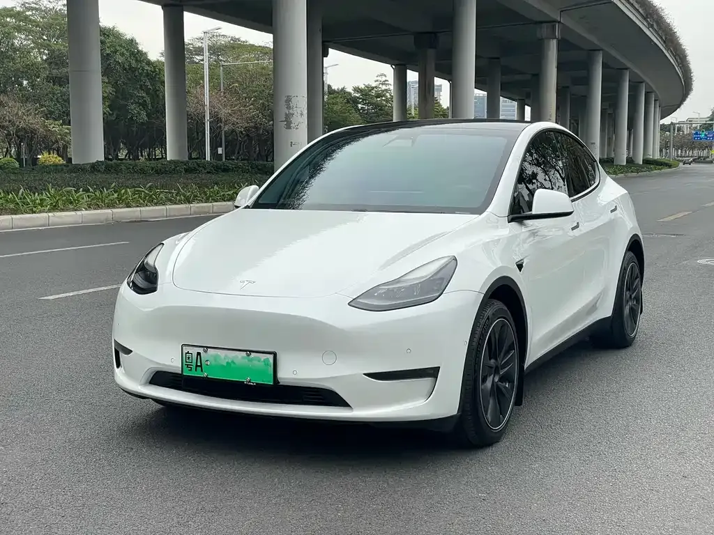 Tesla Model Y 2021 из CN, фото 1