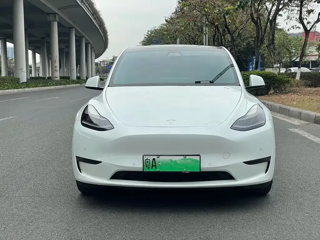 Tesla Model Y 2021 из CN, фото 8