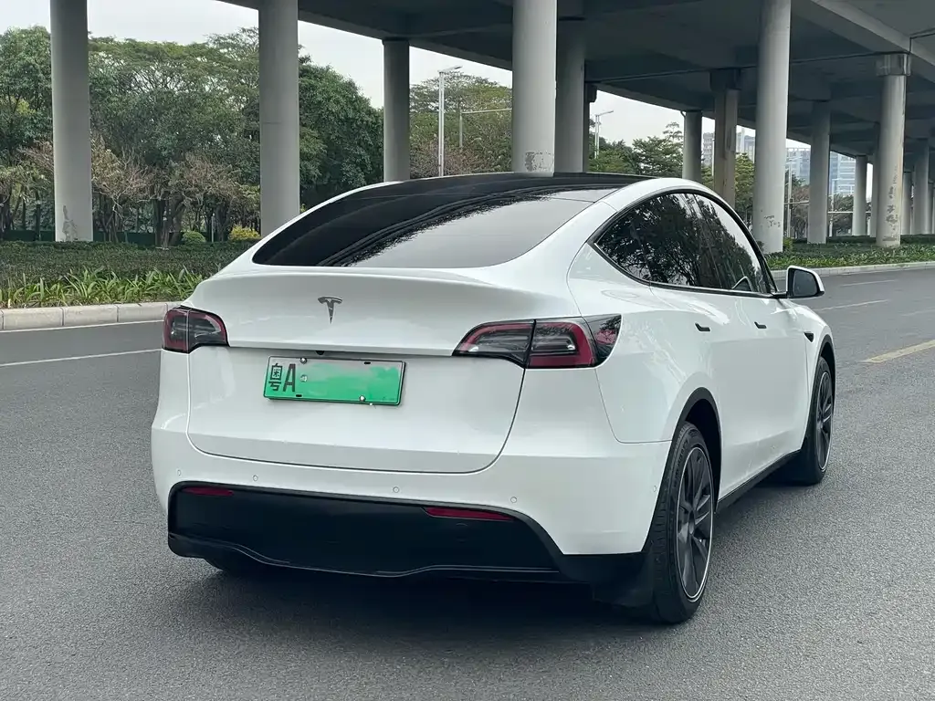 Tesla Model Y 2021 из CN, фото 6