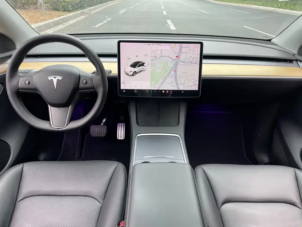 Tesla Model Y 2021 из CN, фото 3