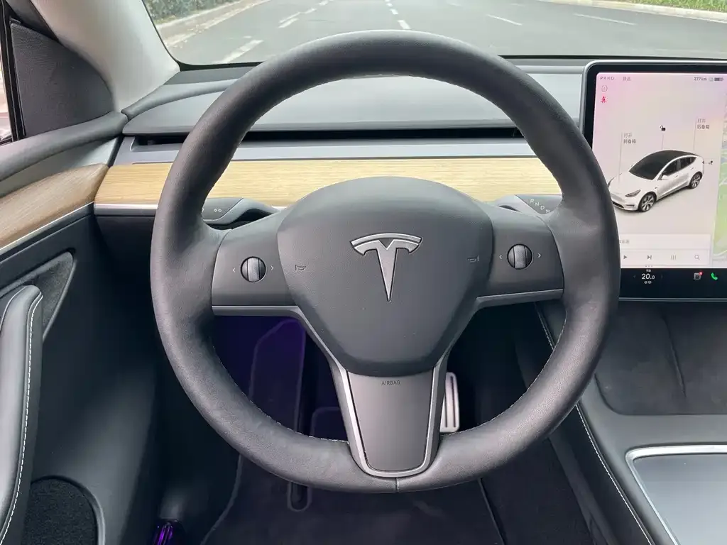 Tesla Model Y 2021 из CN, фото 2