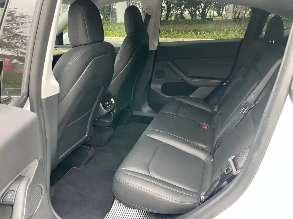 Tesla Model Y 2021 из CN, фото 7