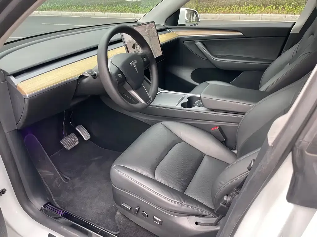 Tesla Model Y 2021 из CN, фото 4