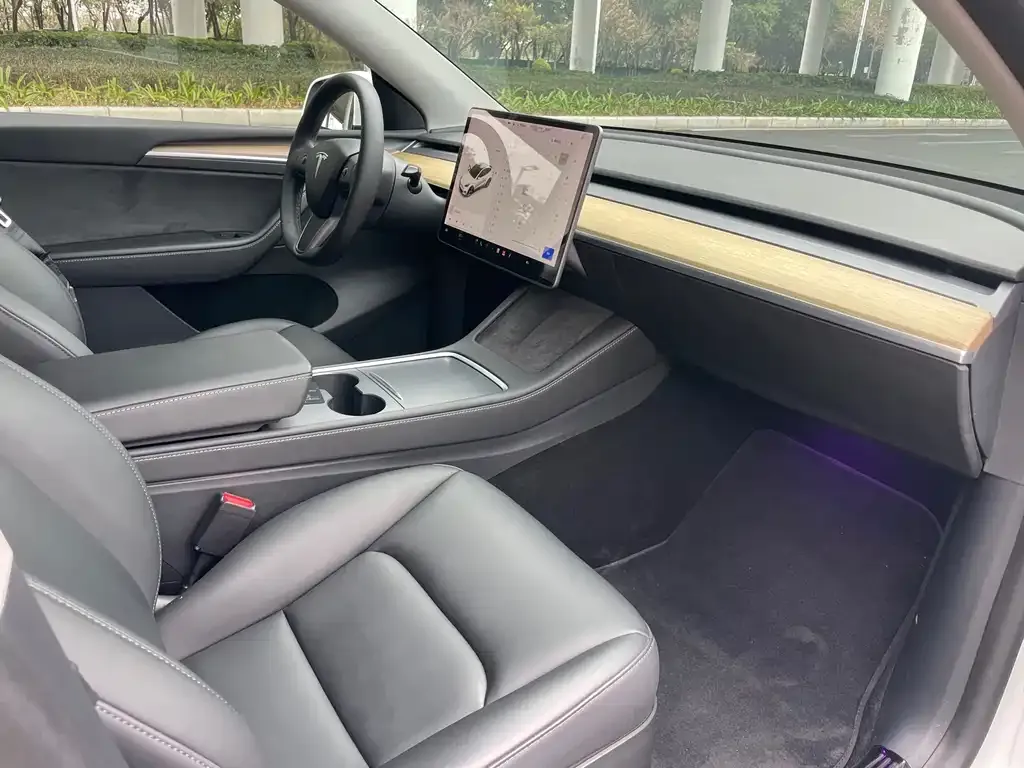 Tesla Model Y 2021 из CN, фото 9
