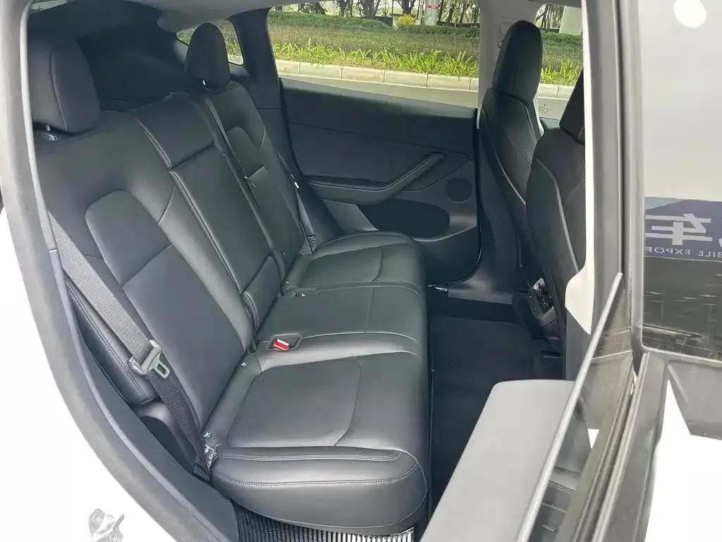 Tesla Model Y 2021 из CN, фото 5