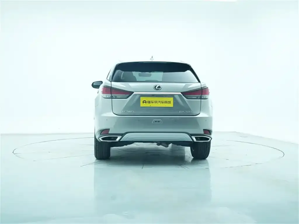 Lexus RX 2022 из CN, фото 9