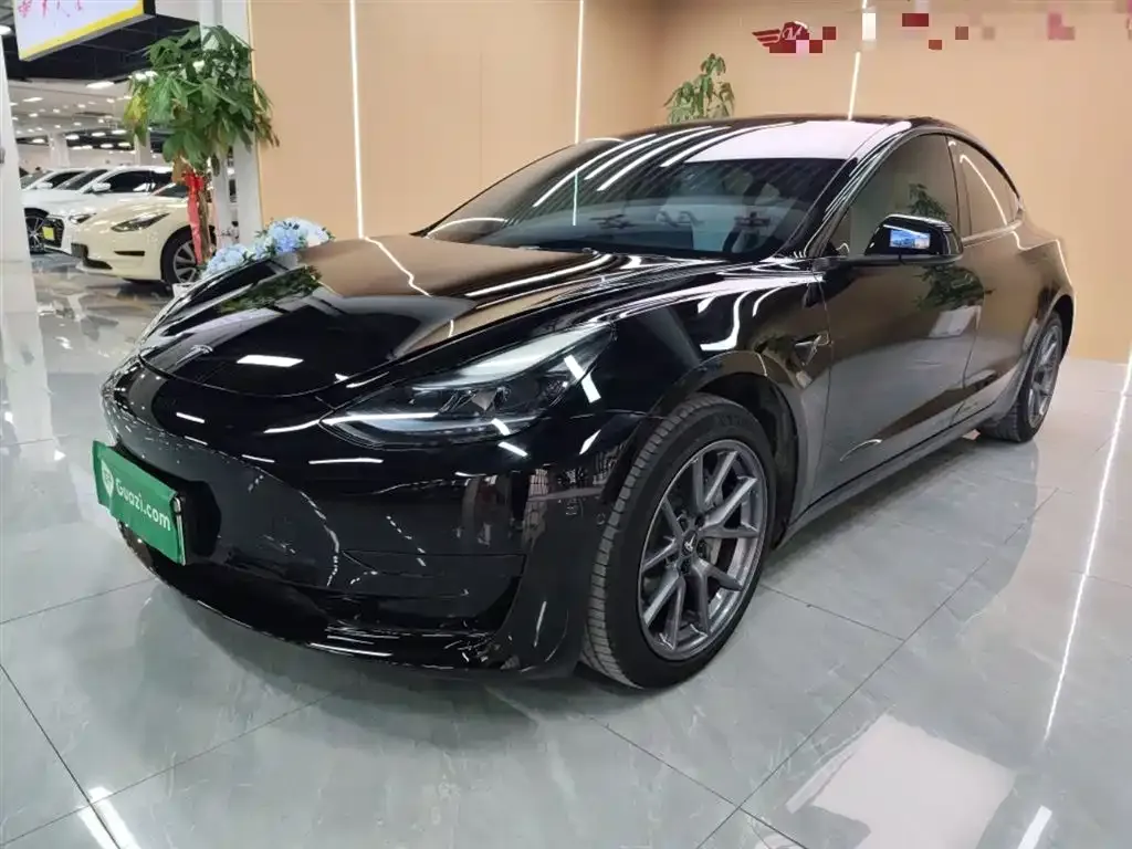 Tesla Model 3 2023 из CN, фото 6